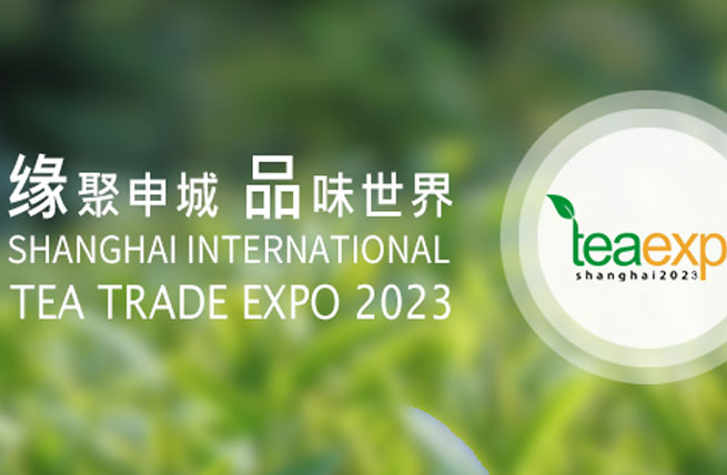 展会展台设计搭建 | 第二十一届上海国际茶叶交易博览会